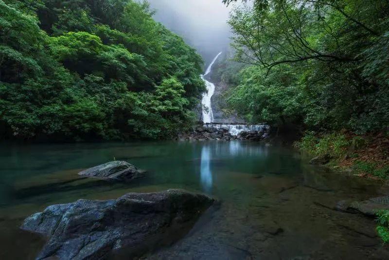 拯救小松鼠